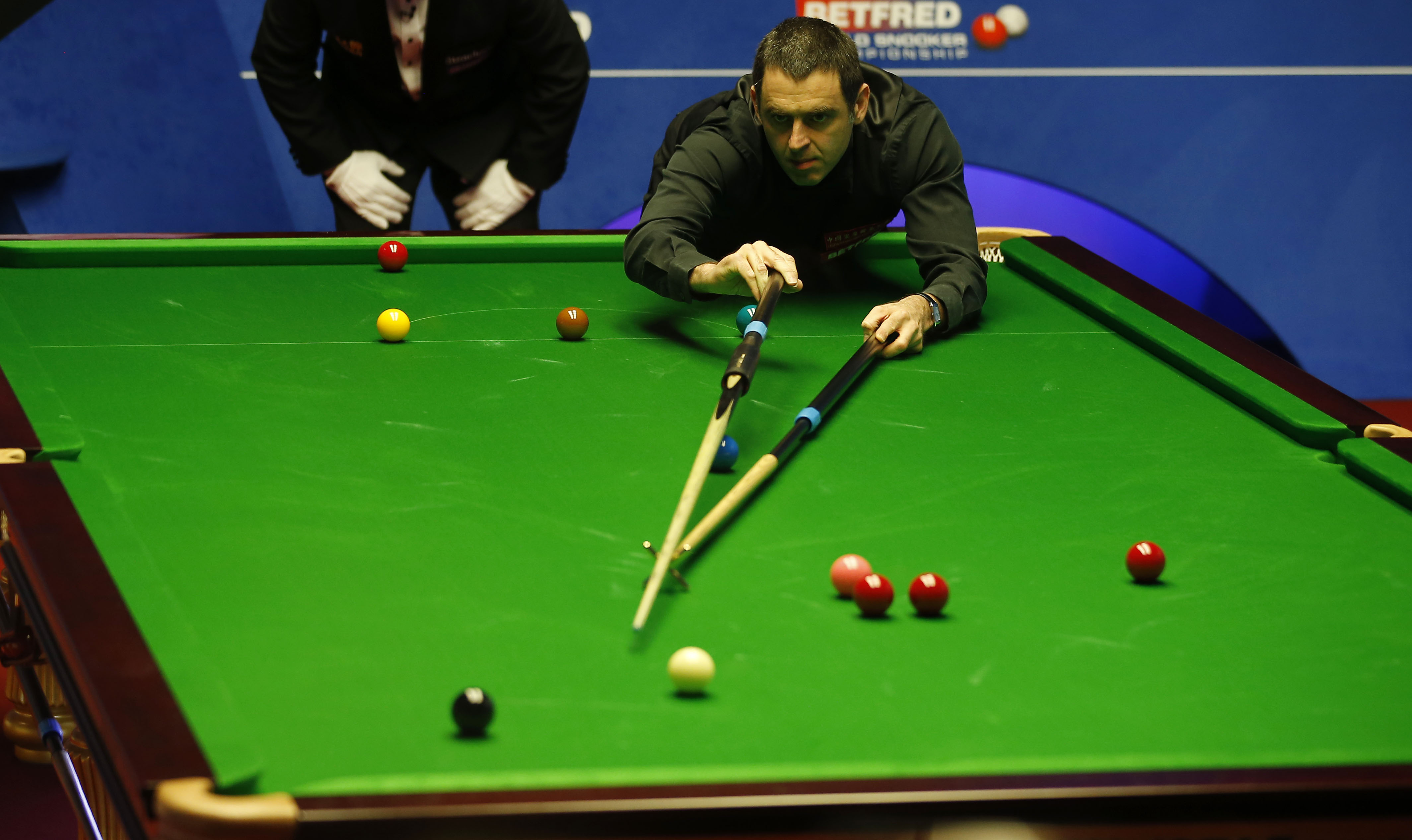 机会闪耀的 机会闪耀的